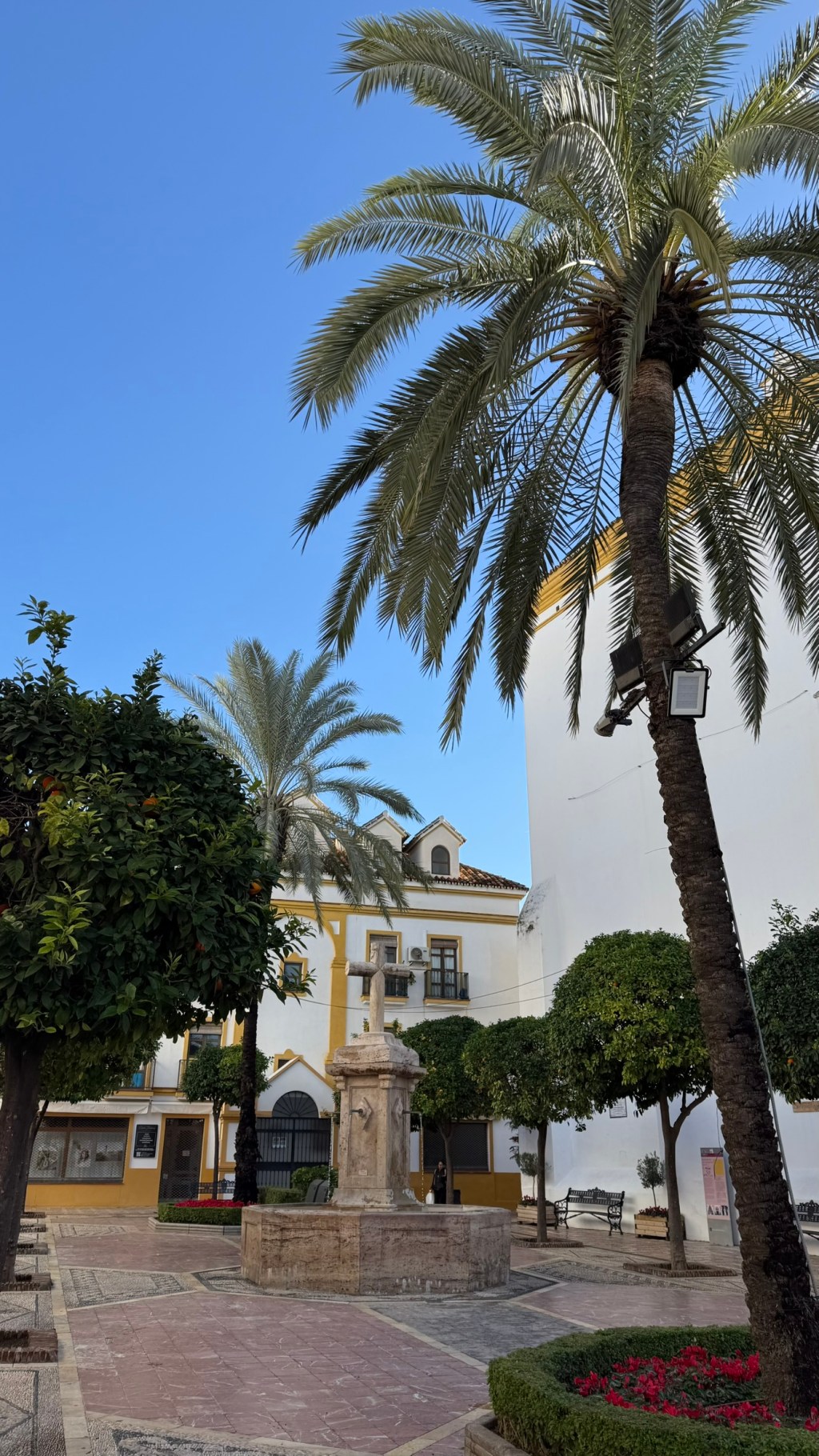 Marbella in January: What It’s Really Like