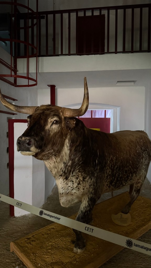 Malaga Plaza de Toros (Bullring)