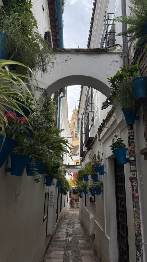 Cordoba