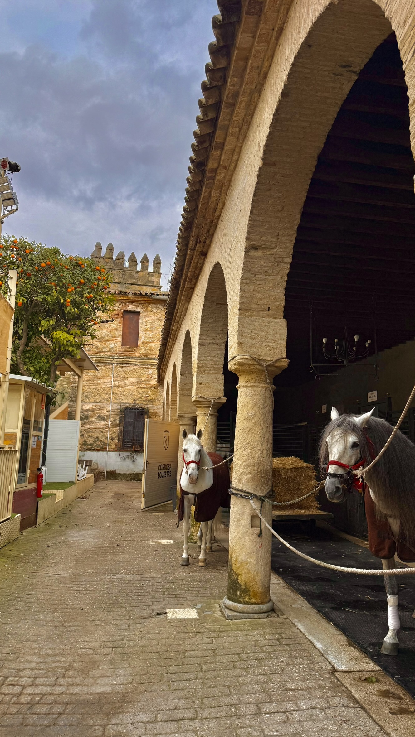 One Day in Córdoba: A City Worth Visiting for the Mezquita&nbsp;Alone