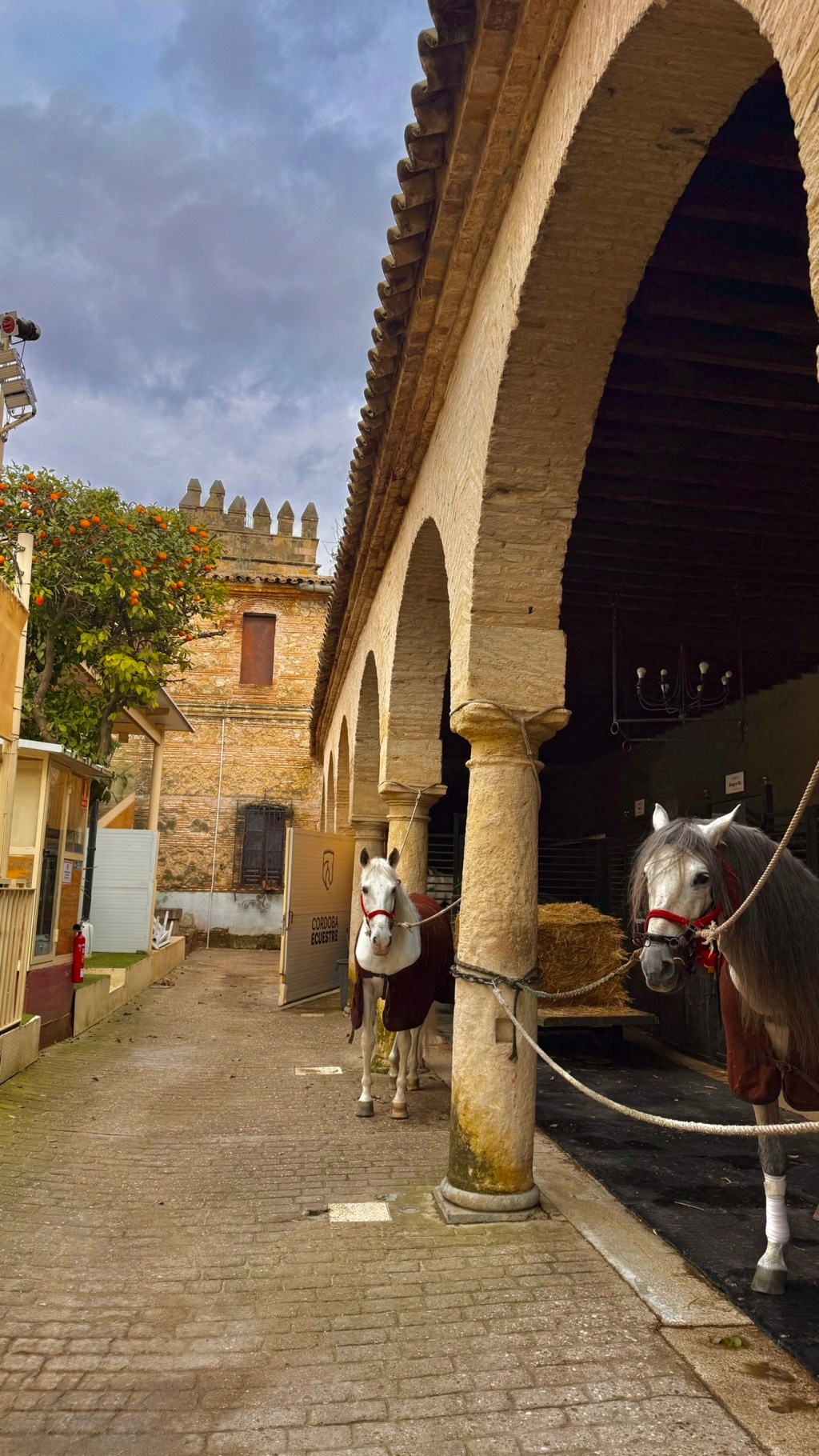 One Day in Córdoba: A City Worth Visiting for the Mezquita Alone