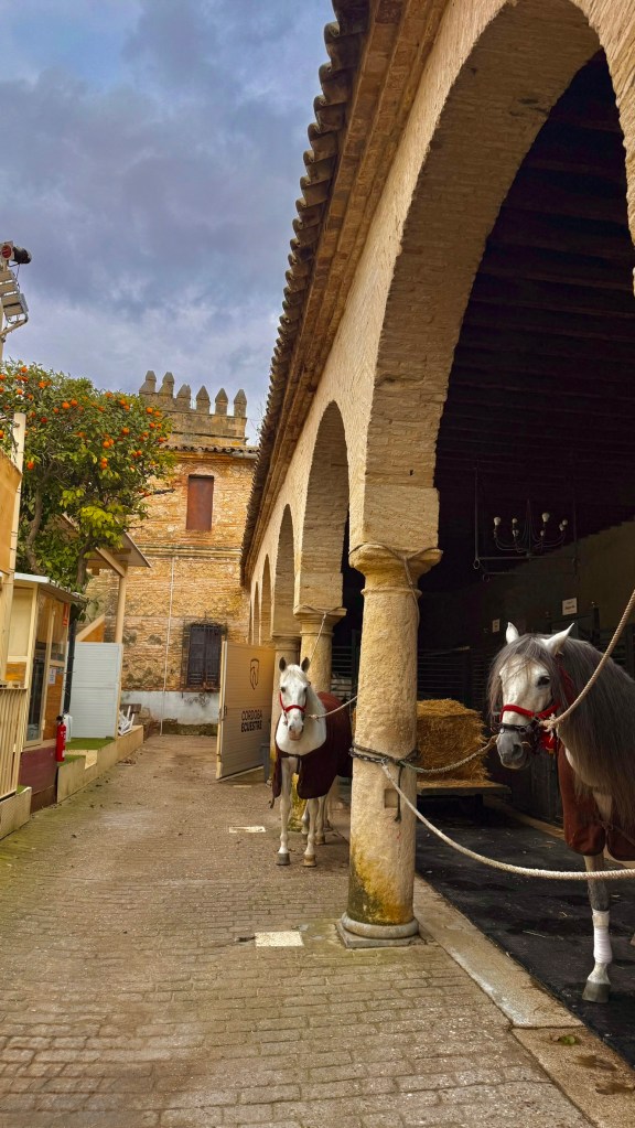 Cordoba Caballerizas Reales de Córdoba