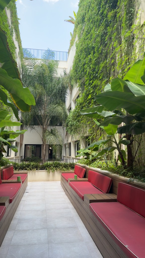 BOC City Hostel Palma de Mallorca Common Terrace
