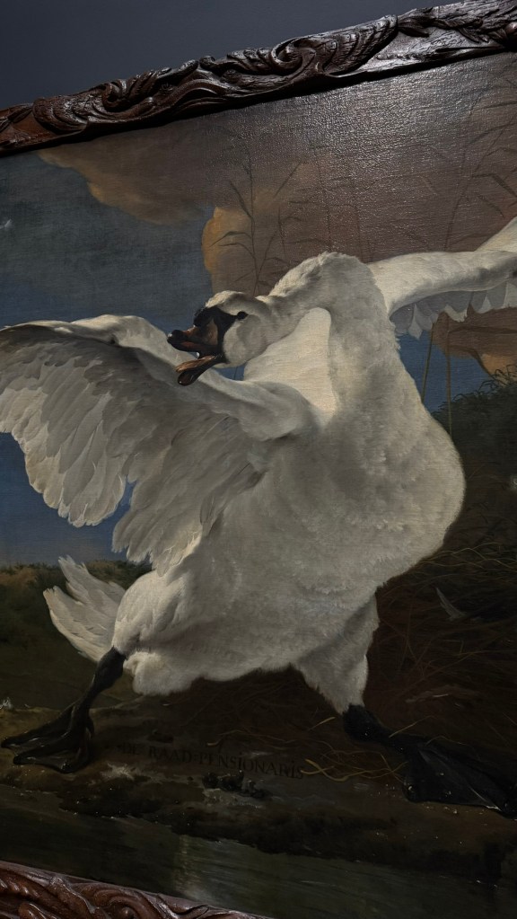 Rijksmuseum - The threatened Swan, Jan Asselijn